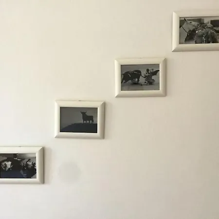 Casa Rosanna Comodo Per 5 Persone Centro * トリエステ