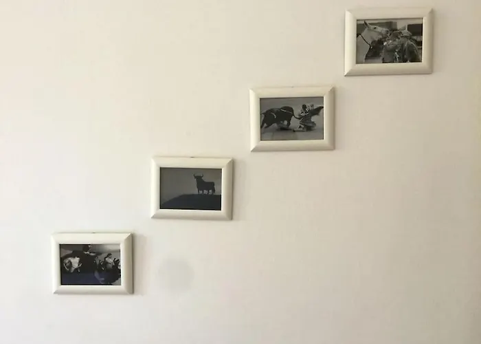 Casa Rosanna Comodo Per 5 Persone Centro * Trieste